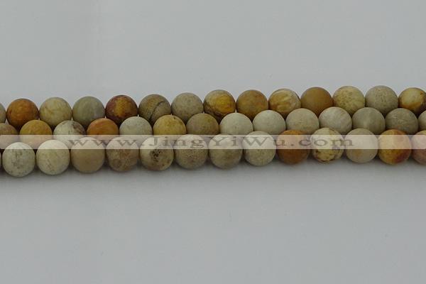 CFC224 15.5 inches 12mm round matte fossil coral beads wholesale