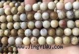 CFC323 15.5 inches 10mm round fossil coral beads wholesale