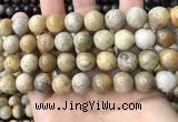 CFC324 15.5 inches 12mm round fossil coral beads wholesale