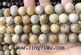 CFC325 15.5 inches 14mm round fossil coral beads wholesale
