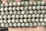 CFC331 15.5 inches 8mm round fossil coral beads wholesale
