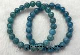 CGB2621 7.5 inches 8mm round natural apatite beaded bracelets