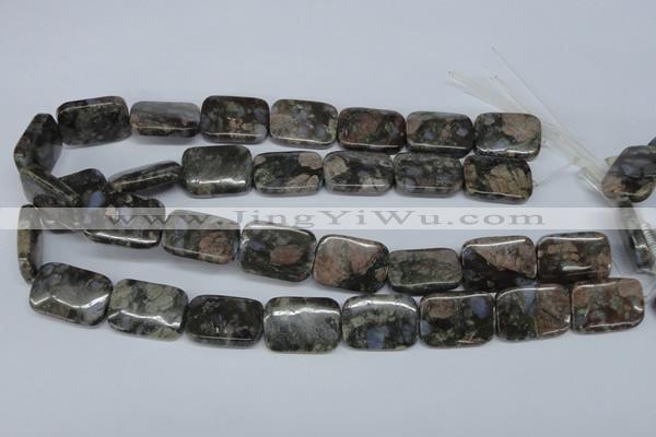CGE03 15.5 inches 18*25mm rectangle glaucophane gemstone beads