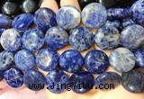 CIBS29 15 inches 20mm coin sodalite gemstone beads wholesale