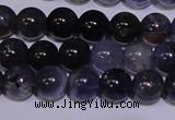 CIL10 15.5 inches 5mm round A grade natural iolite gemstone beads