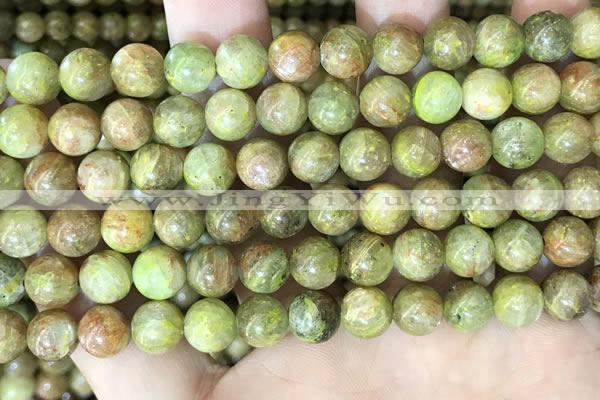 CKC762 15.5 inches 8mm round natural green kyanite beads