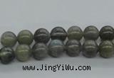 CLB100 15.5 inches 8mm round labradorite gemstone beads wholesale