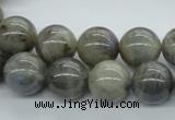 CLB102 15.5 inches 14mm round labradorite gemstone beads wholesale