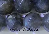 CLB1096 15.5 inches 8mm faceted round labradorite gemstone beads