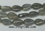 CLB156 15.5 inches 8*12mm flat teardrop labradorite gemstone beads