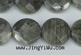 CLB193 15.5 inches 20mm faceted coin labradorite gemstone beads