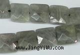 CLB201 15.5 inches 14*14mm faceted square labradorite beads