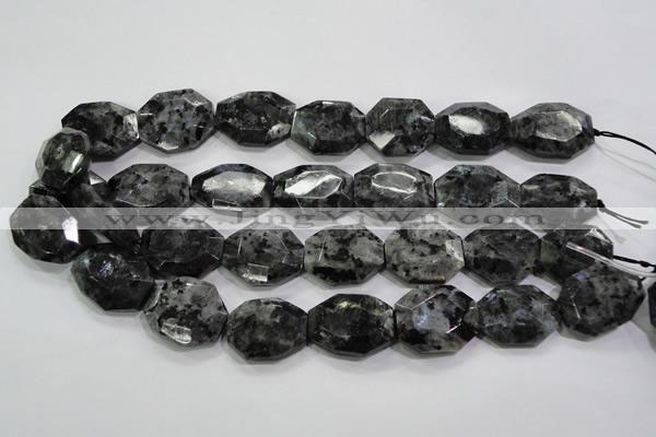 CLB325 15.5 inches 20*25mm octagonal black labradorite beads