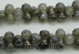 CLB630 15.5 inches 4*9mm bone AB-color labradorite beads