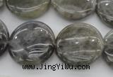 CLB738 15.5 inches 20mm flat round labradorite gemstone beads