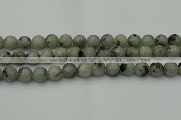 CLB855 15.5 inches 14mm round AB grade labradorite beads wholesale