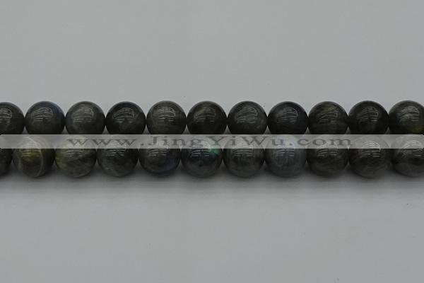 CLB954 15.5 inches 20mm round labradorite gemstone beads