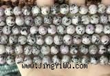CLJ503 15.5 inches 4mm,6mm,8mm,10mm & 12mm round sesame jasper beads