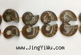 CMM10 15.5 inches 30*40mm - 35*45mm carved ammonite gemstone beads