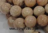 CMS04 15.5 inches 18mm round moonstone gemstone beads wholesale