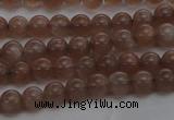 CMS1020 15.5 inches 4mm round AA grade moonstone gemstone beads