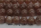 CMS1021 15.5 inches 6mm round AA grade moonstone gemstone beads