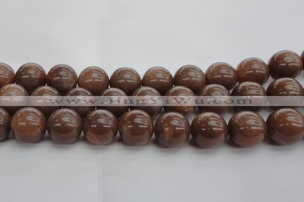 CMS1028 15.5 inches 20mm round AA grade moonstone gemstone beads