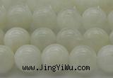 CMS1032 15.5 inches 8mm round A grade white moonstone beads
