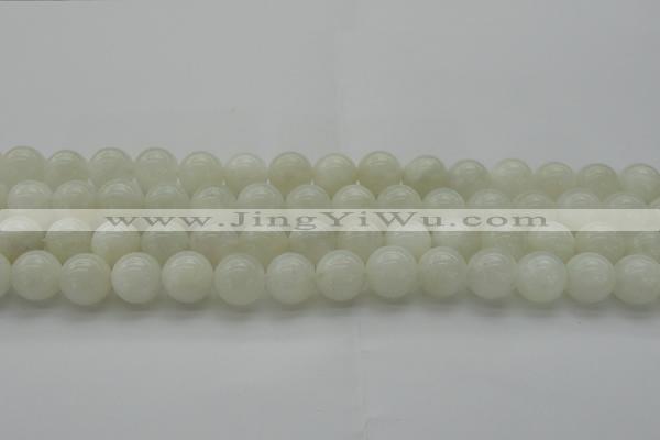 CMS1033 15.5 inches 10mm round A grade white moonstone beads