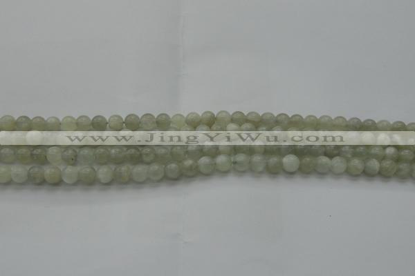 CMS1051 15.5 inches 6mm round grey moonstone beads wholesale