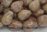 CMS11 15.5 inches 14*18mm teardrop moonstone gemstone beads wholesale