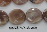 CMS113 15.5 inches 20mm faceted coin moonstone gemstone beads