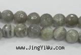 CMS124 15.5 inches 10mm faceted round moonstone gemstone beads