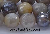 CMS1314 15.5 inches 12mm faceted round AB-color grey moonstone beads