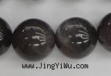 CMS148 15.5 inches 14mm round natural grey moonstone beads