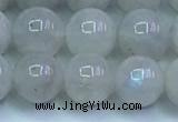 CMS1491 15.5 inches 8mm round white moonstone beads wholesale