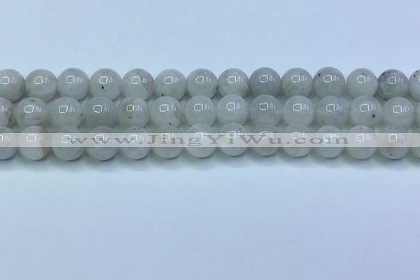CMS1491 15.5 inches 8mm round white moonstone beads wholesale