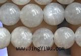 CMS1651 15.5 inches 6mm round grey moonstone beads wholesale