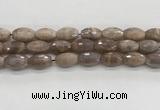 CMS1777 15.5 inches 11*18mm faceted rice AB-color moonstone beads