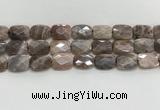 CMS1785 15.5 inches 13*18mm faceted rectangle AB-color moonstone beads