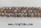 CMS1788 15.5 inches 8mm faceted coin AB-color moonstone beads