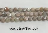 CMS1789 15.5 inches 10mm faceted coin AB-color moonstone beads
