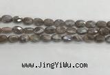 CMS1798 15.5 inches 8*12mm faceted oval AB-color moonstone beads