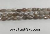 CMS1799 15.5 inches 10*14mm faceted oval AB-color moonstone beads