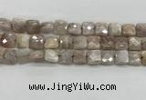 CMS1828 15.5 inches 12*12mm faceted square AB-color moonstone beads