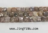 CMS1830 15.5 inches 14*14mm faceted square AB-color moonstone beads