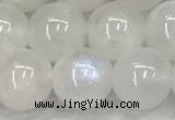 CMS1904 15.5 inches 12mm round white moonstone gemstone beads