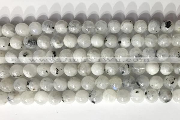 CMS2001 15.5 inches 8mm round white moonstone gemstone beads