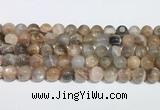 CMS2013 15.5 inches 12mm round moonstone gemstone beads