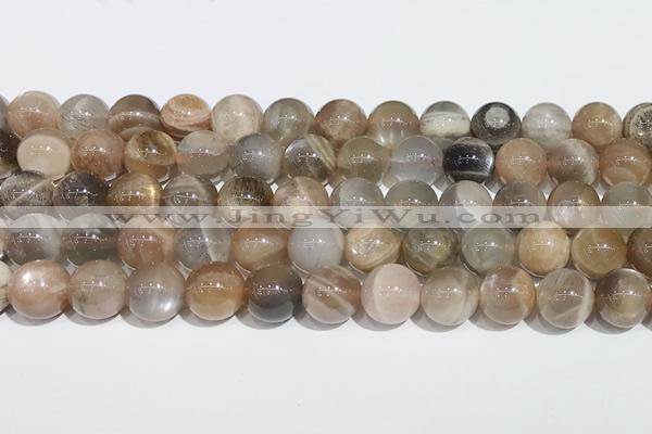 CMS2013 15.5 inches 12mm round moonstone gemstone beads